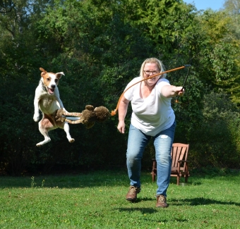Terrier im freien Spiel Terrier im freien Spiel